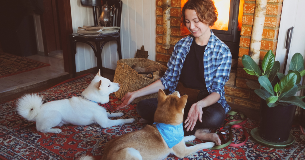 Virginia Emotional Support Animal Letter